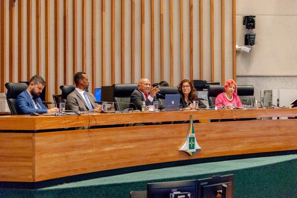 Audiência pública debate avanços e desafios dos Conselhos Tutelares