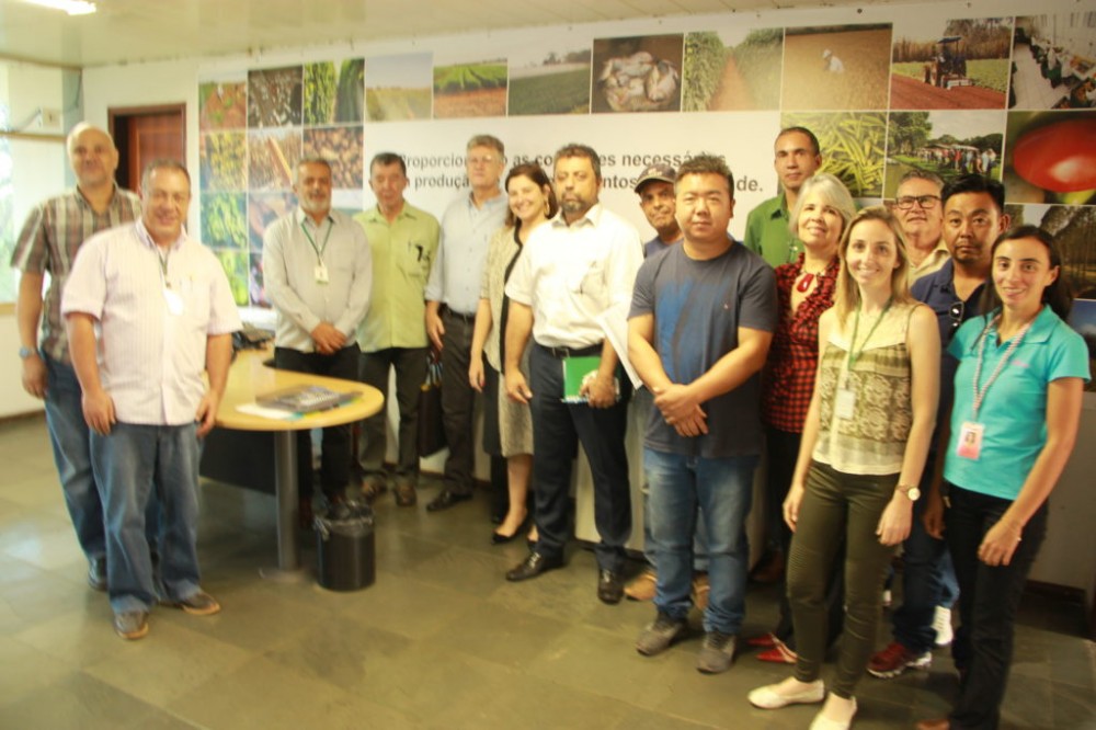 Conab compra R$ 1,3 milhão em alimentos da agricultura familiar