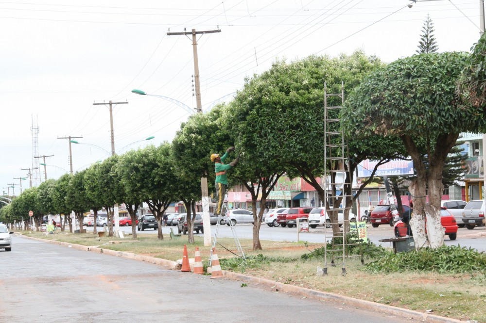 Novo Gama: Prefeitura realiza serviço de poda de árvores e limpeza em bairros