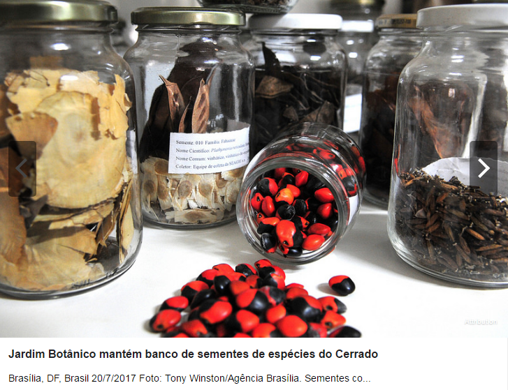 Distrito Federal: Jardim Botânico mantém banco de sementes de espécies do Cerrado